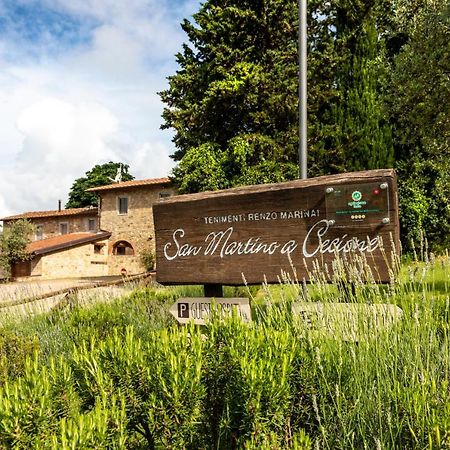 Апартаменти Renzo Marinai Panzano in Chianti Екстер'єр фото