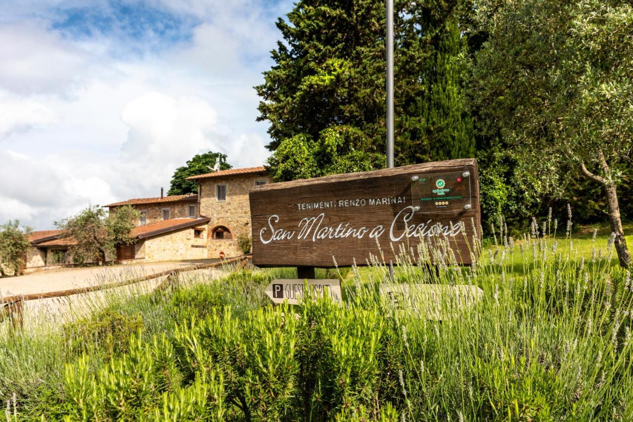 Апартаменти Renzo Marinai Panzano in Chianti Екстер'єр фото